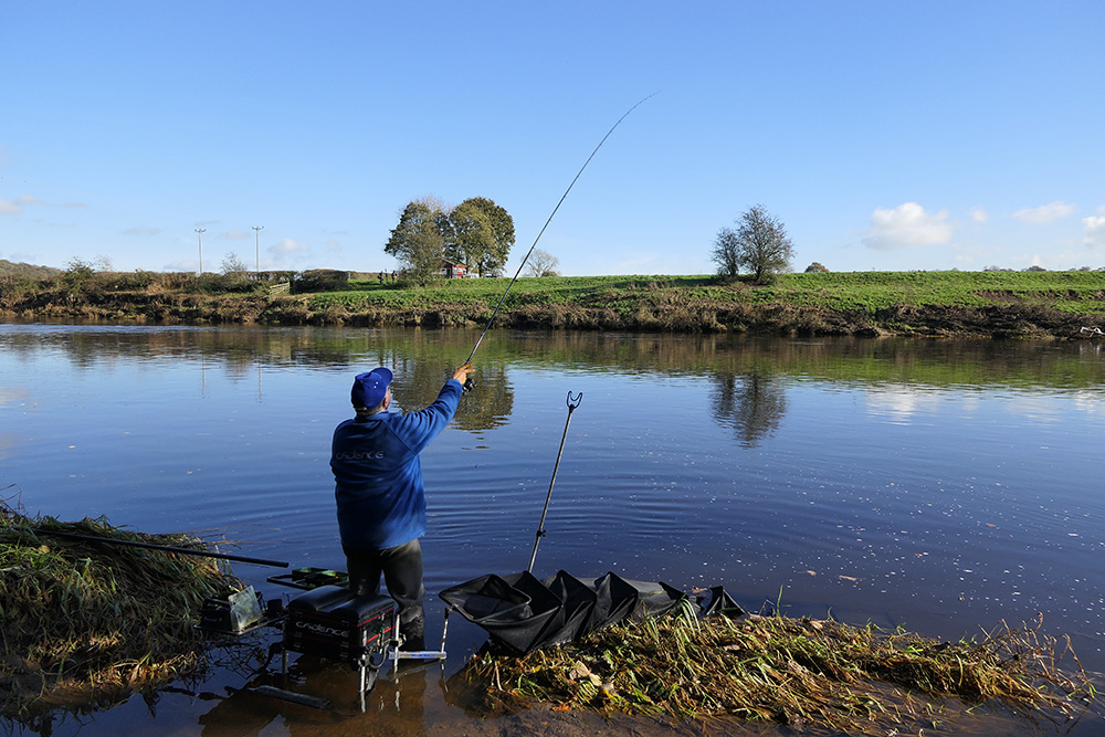 Feeder Fishing