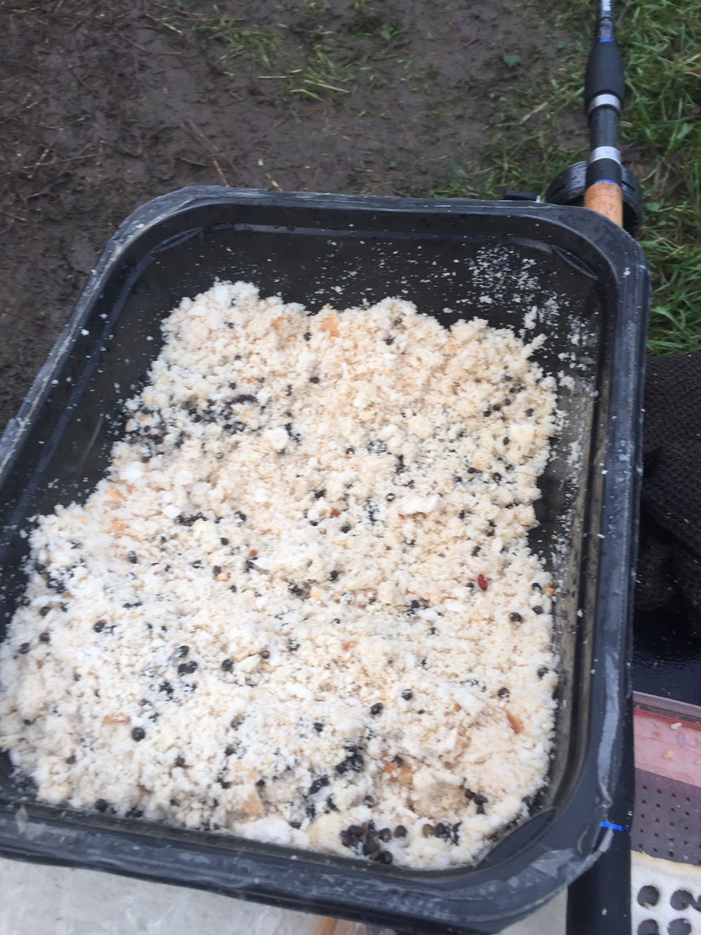 River Float Fishing with Punched Bread: Here is some Alan prepared earlier! A typical liquidised bread groundbait mix for the river incorporating some MPW Spiced Punch Crumb and a generous helping of cooked and drained hemp. What self-respecting roach, dace or chub could resist it?