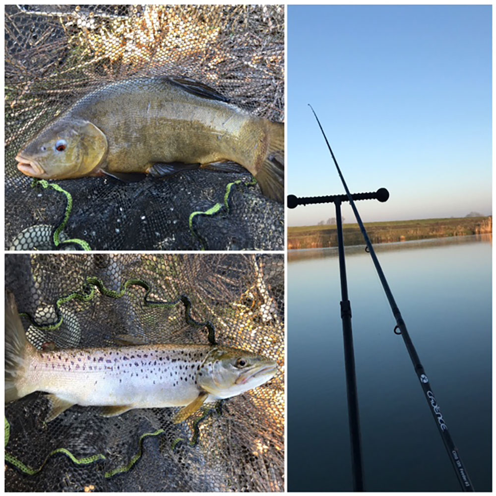 River Tench Fishing