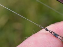 Feeder Fishing Success for Colin Harvey