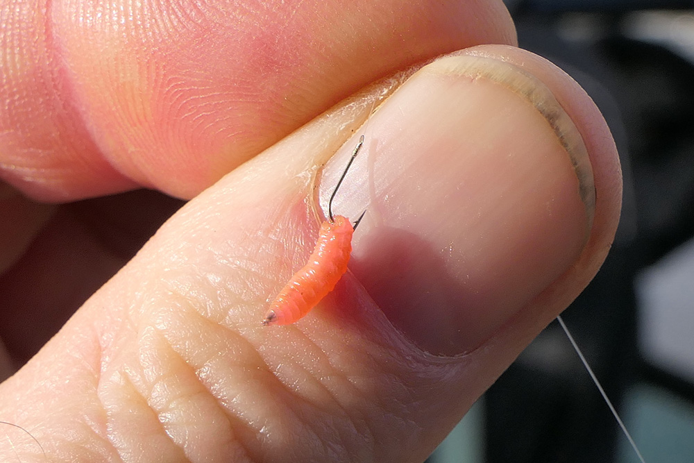 Hooks for canal fishing need to be fine to medium wire patterns.