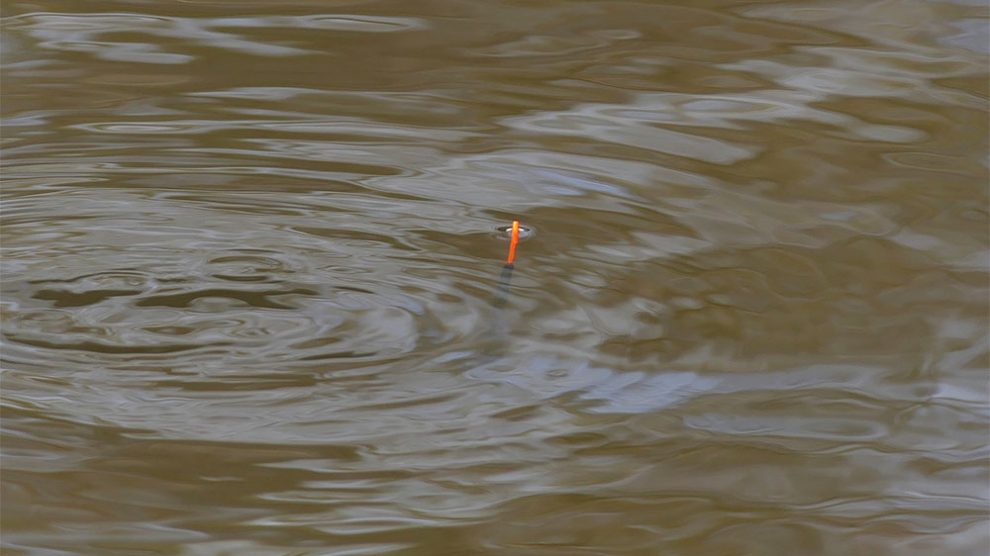 You can see how much the whip waggler is dotted down. Increased sensitivity produces positive bites from small fish