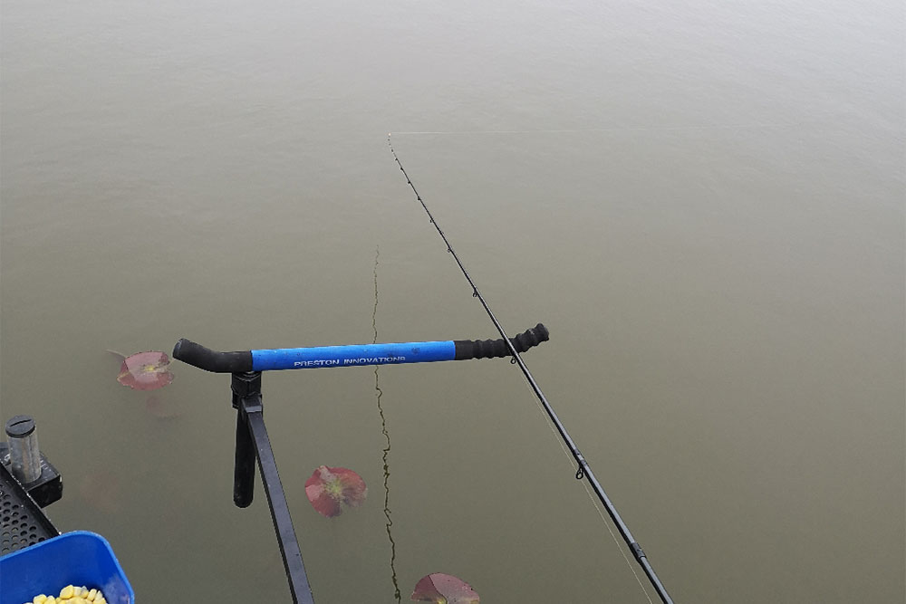 Feeder Fishing for Bream