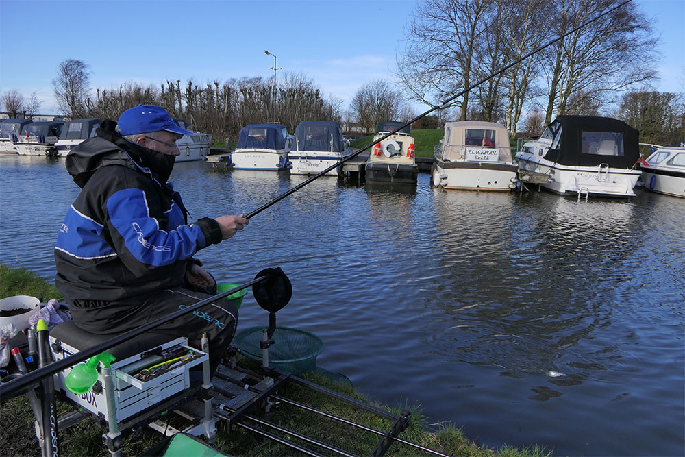 Alan brings another hybrid to the net.