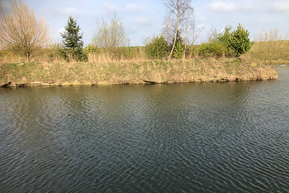 Stillwater Chub Fishing