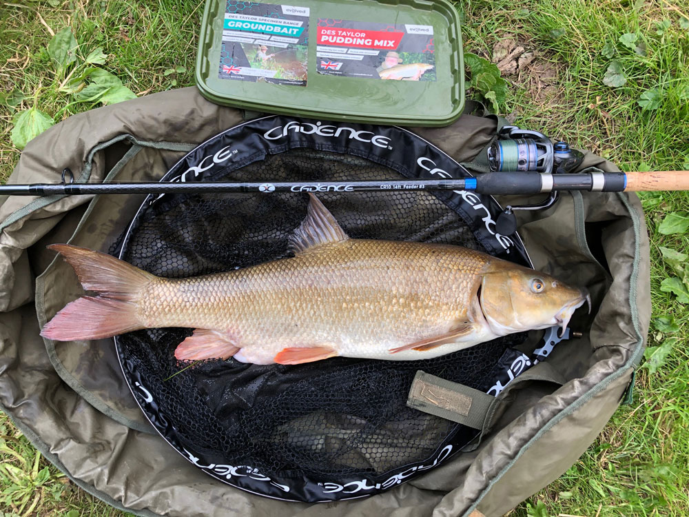 Barbel Fishing with the Cadence 14ft #3 Feeder Rod - Cadence