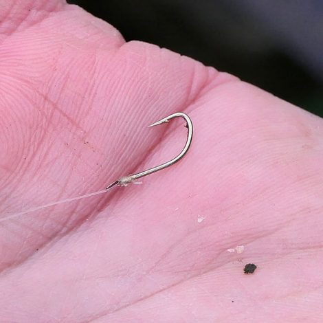 Warwickshire Avon Chub Fishing with Bread