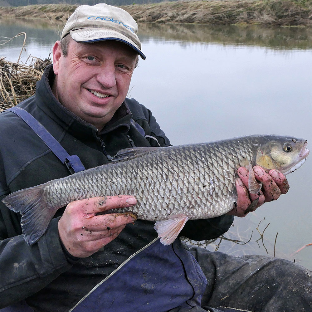 Warwickshire Avon Chub Fishing with Bread