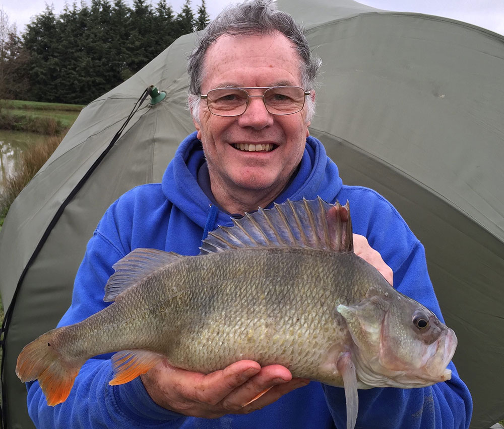 Perch Fishing with specialist rods