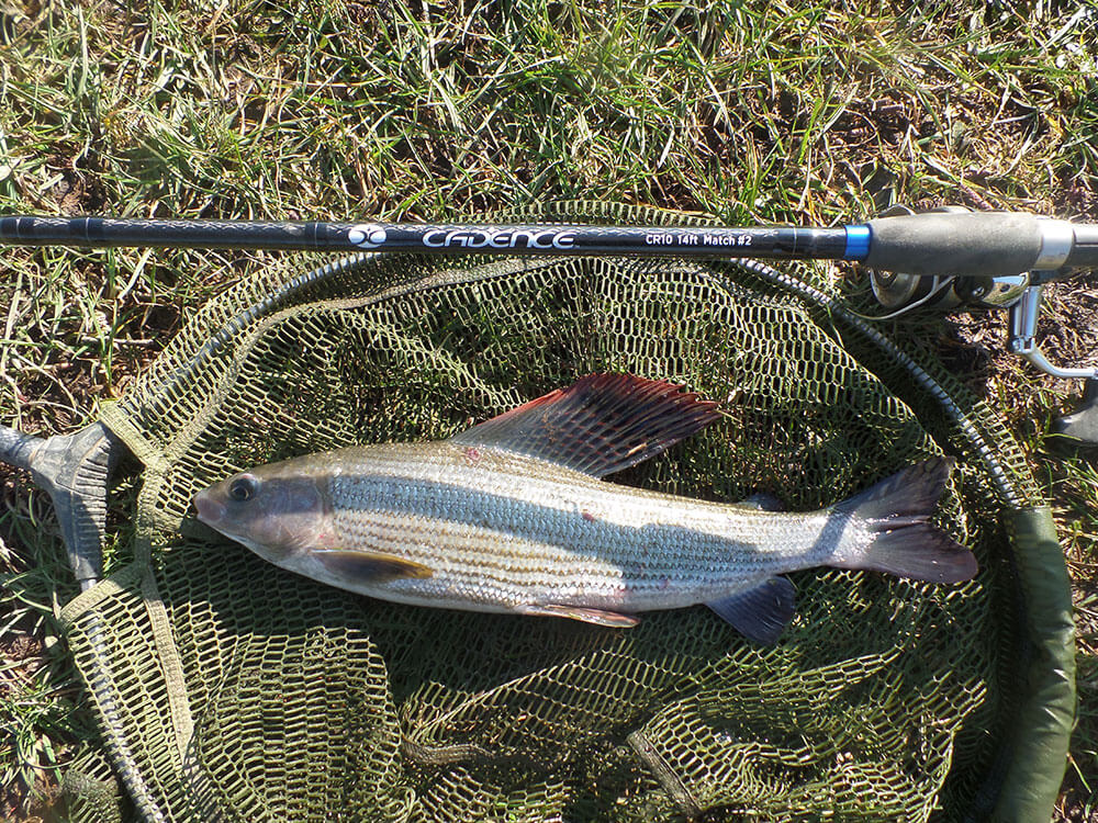 River Fishing Chalk Stream Fed Rivers