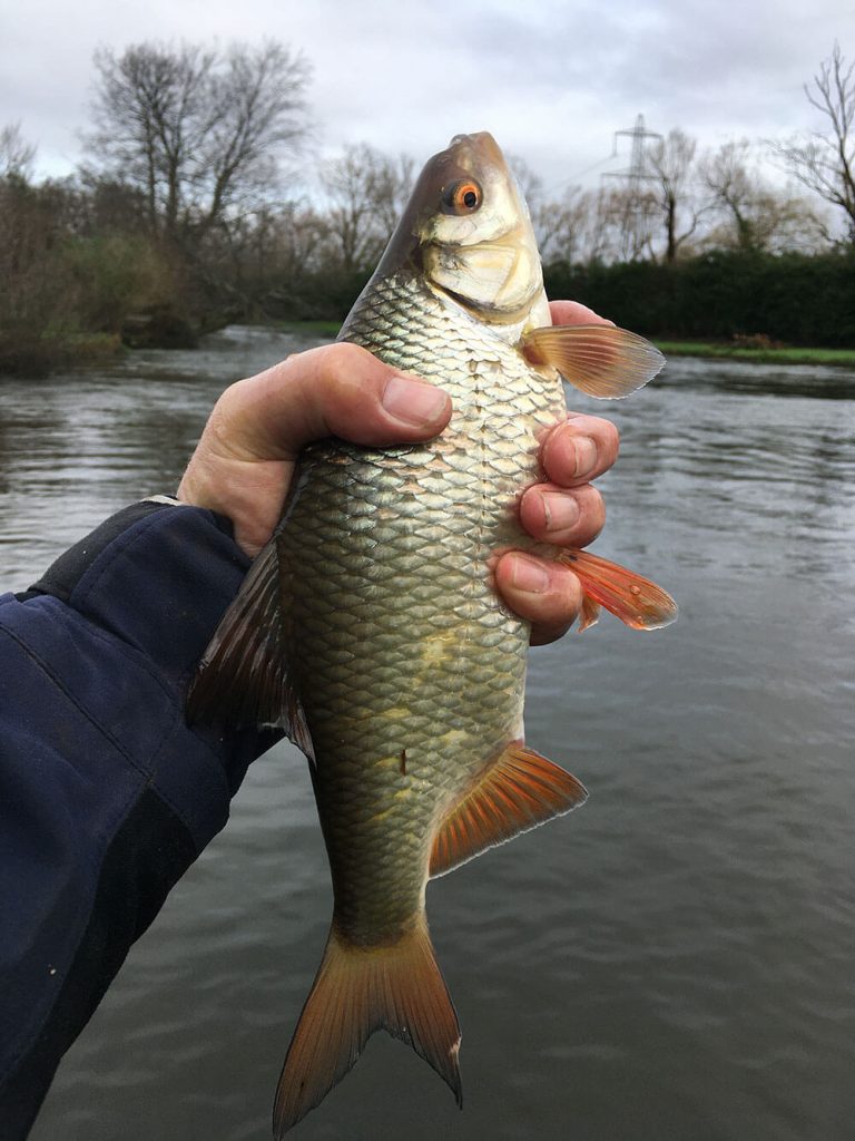 River Fishing Chalk Stream Fed Rivers