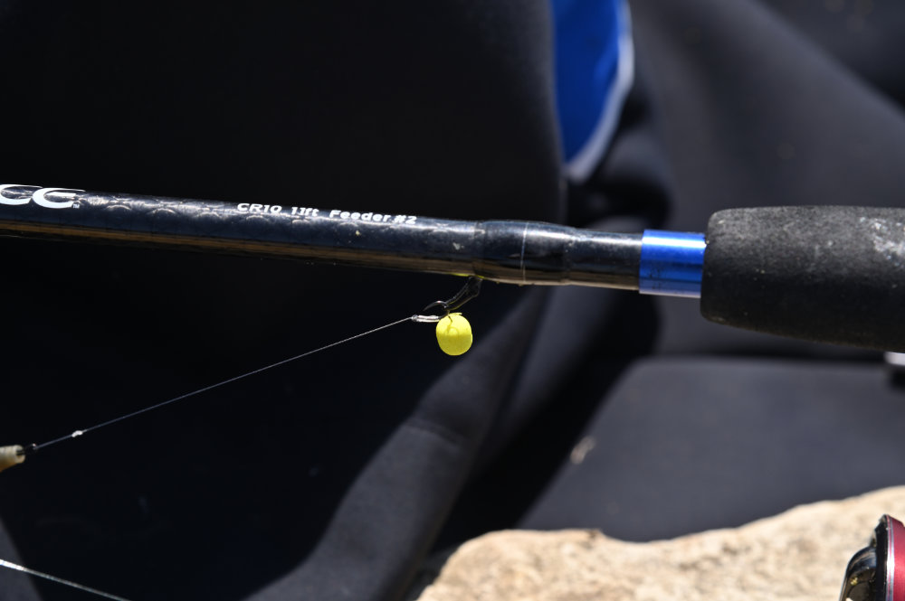 Feeder Fishing Tips