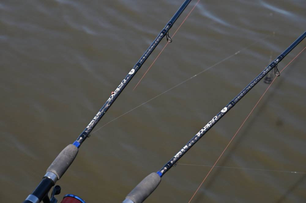 Feeder Fishing Tips