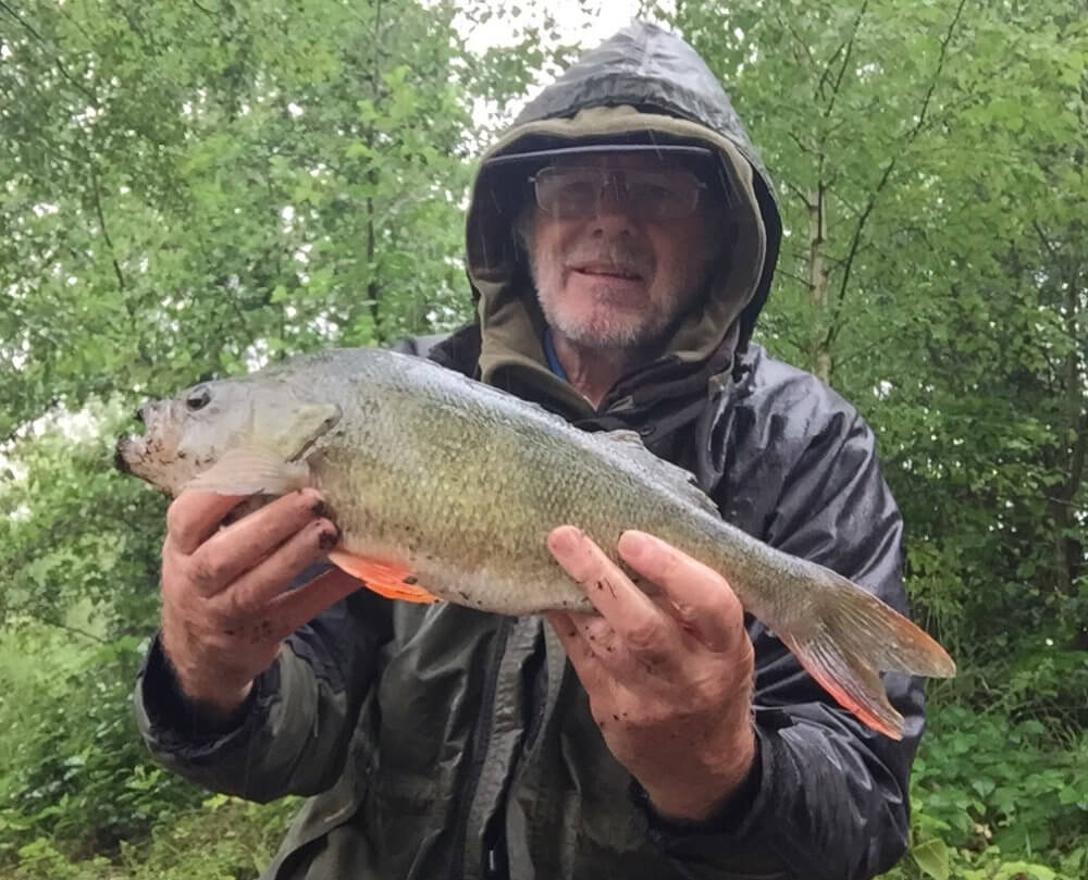 Slightly damp but a 2lb 2oz perch