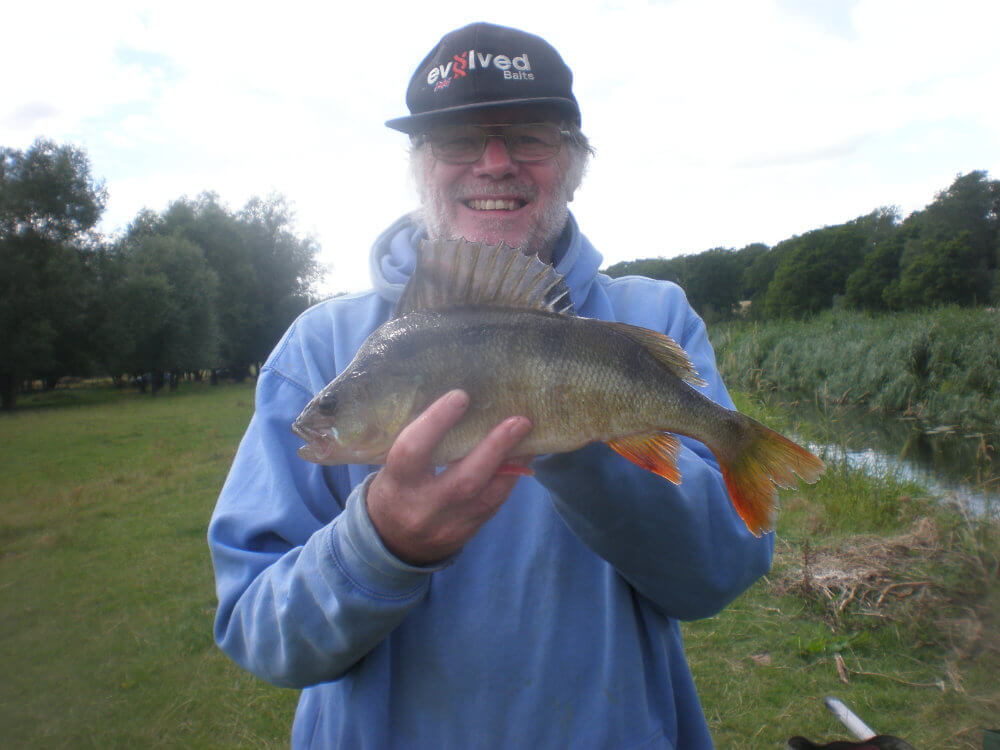 The only fish caught on the river today another 2lbs perch.