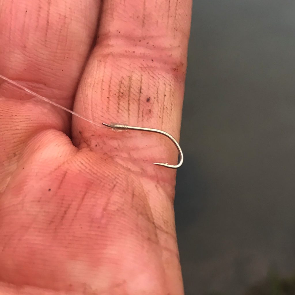 Hook for chub fishing