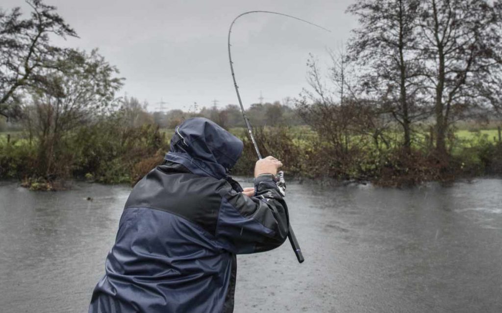 Cadence Fishing Specimen Rods