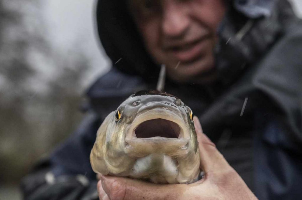 Big chub mouth