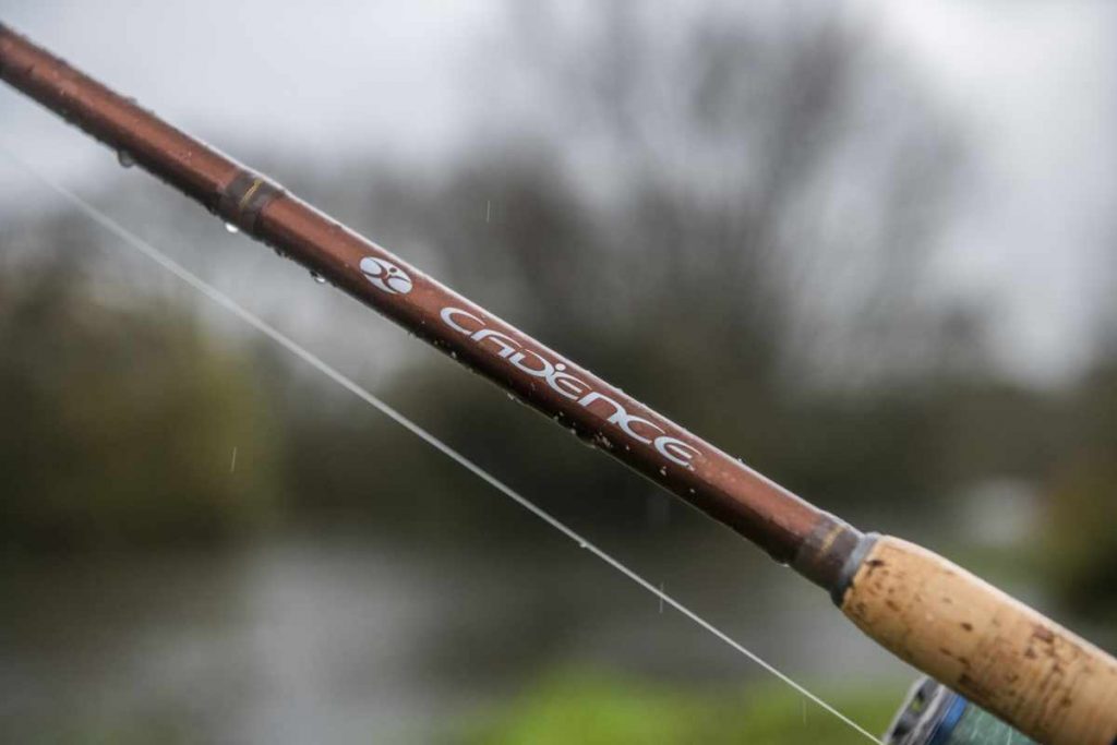 Cadence Fishing Specimen Rods