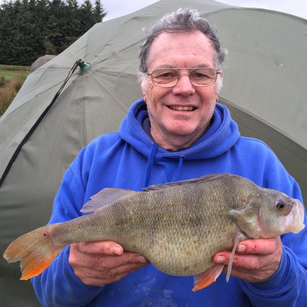 3lb plus Perch on the free running set up