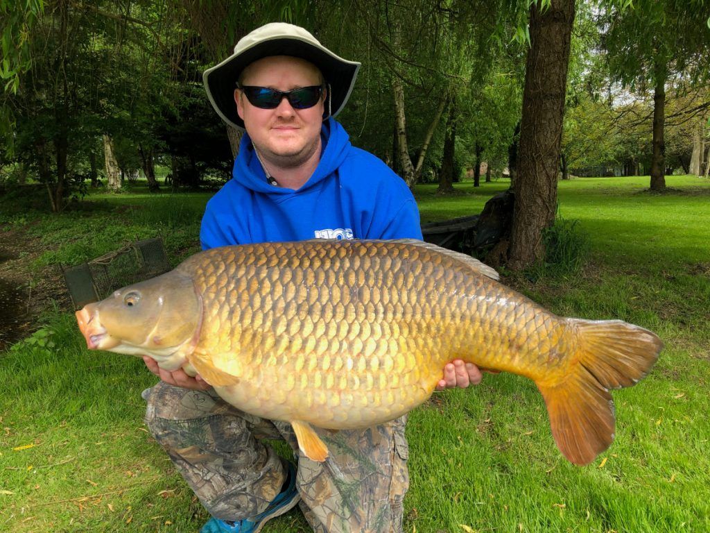 42lb 7oz common carp