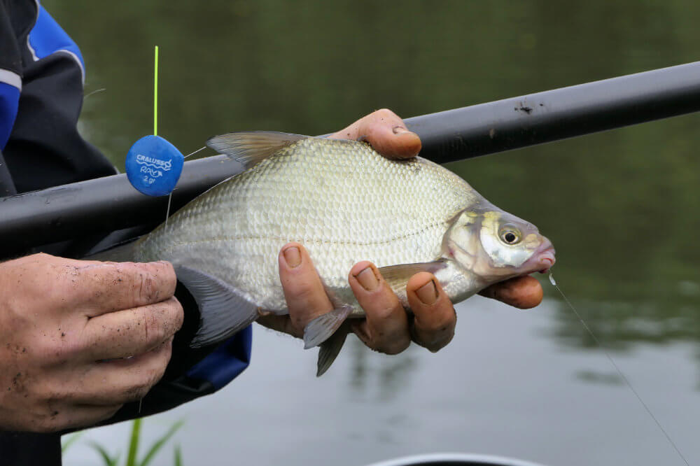  JEZERO Deep Water Fishing Floats: Great for Trail