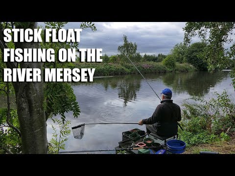 Stick Float Fishing On The River Mersey - With Alan Barnes - Cadence Fishing  Blog - Coarse Fishing Articles