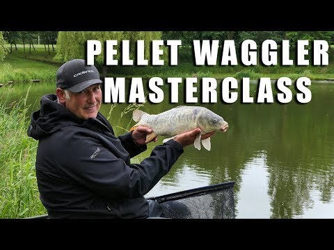 Pellet Waggler Masterclass with Keith Easton - Cadence Fishing Blog -  Coarse Fishing Articles