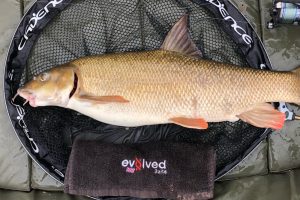 Power Feeder Rod