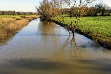 Mock Bridge