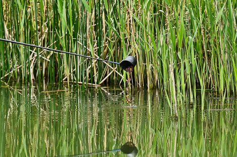 Feeding the margin