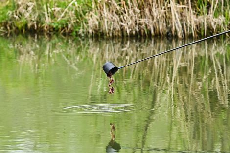 Feeding the margin