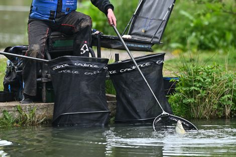 Slipping a bream into the net