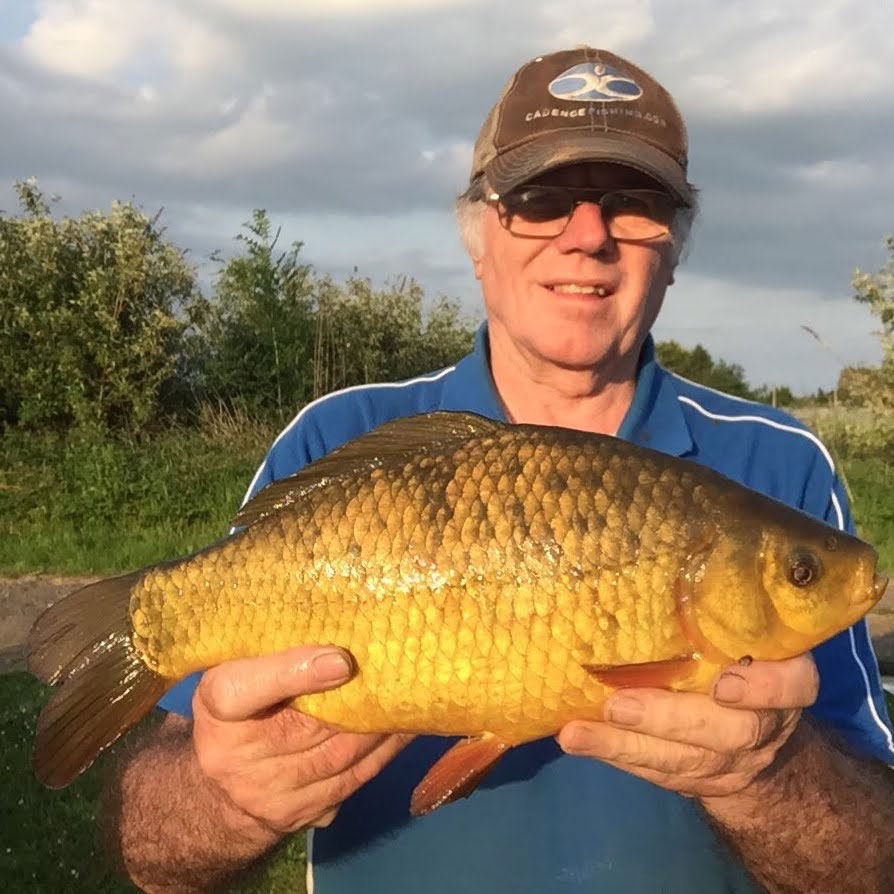 Crucian Carp