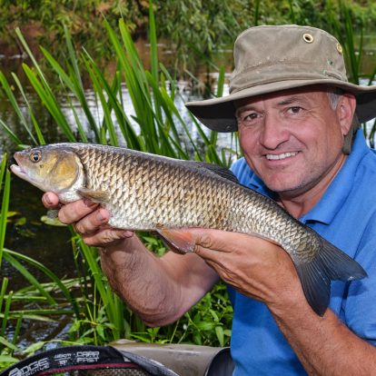 Chub on bread fishing