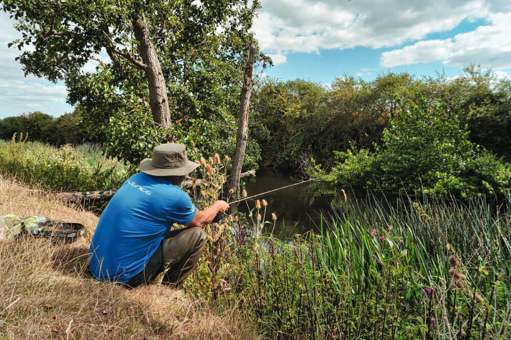 River Avon Chub