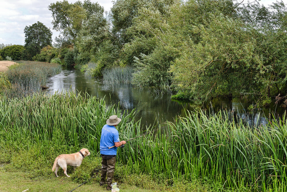 Chub Fishing with Bread with Low Water with James Robbins