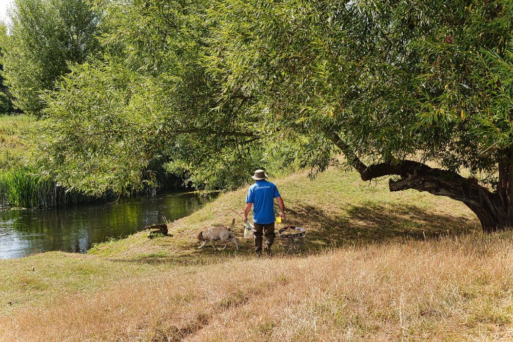 Further walking on the River Avon