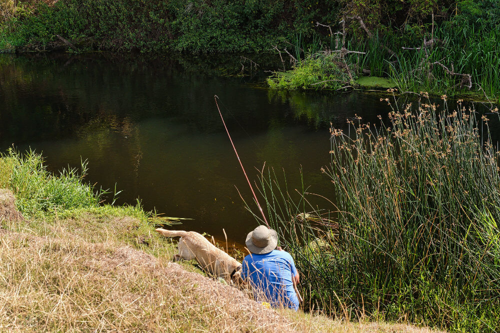River Avon fishing