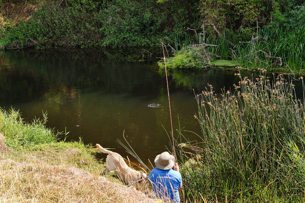 Fishing on the Avon