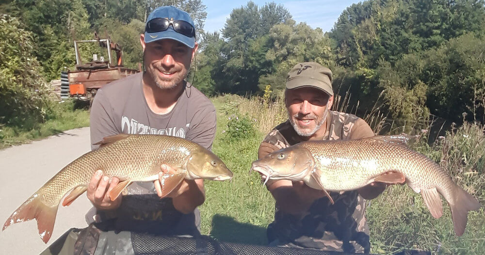 French barbel