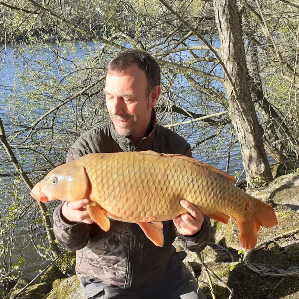 French Specimen Fishing - Koi Carp