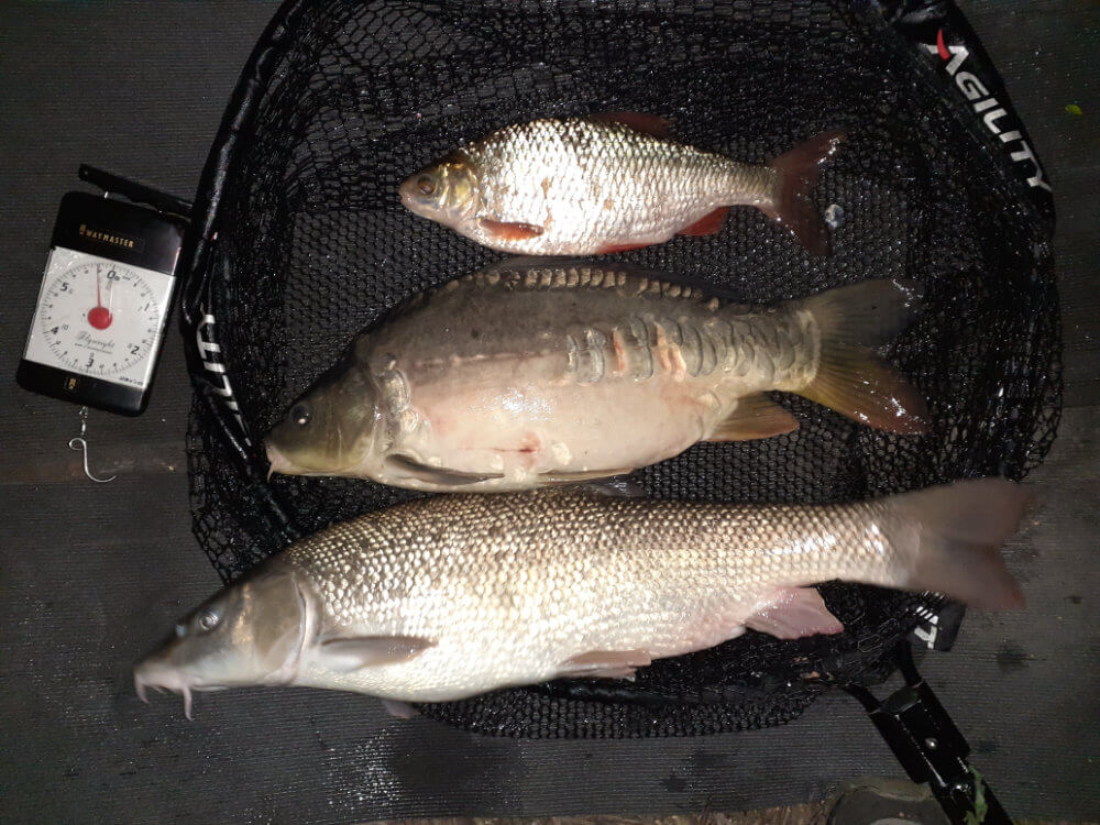 A mixed bag when fishing in France