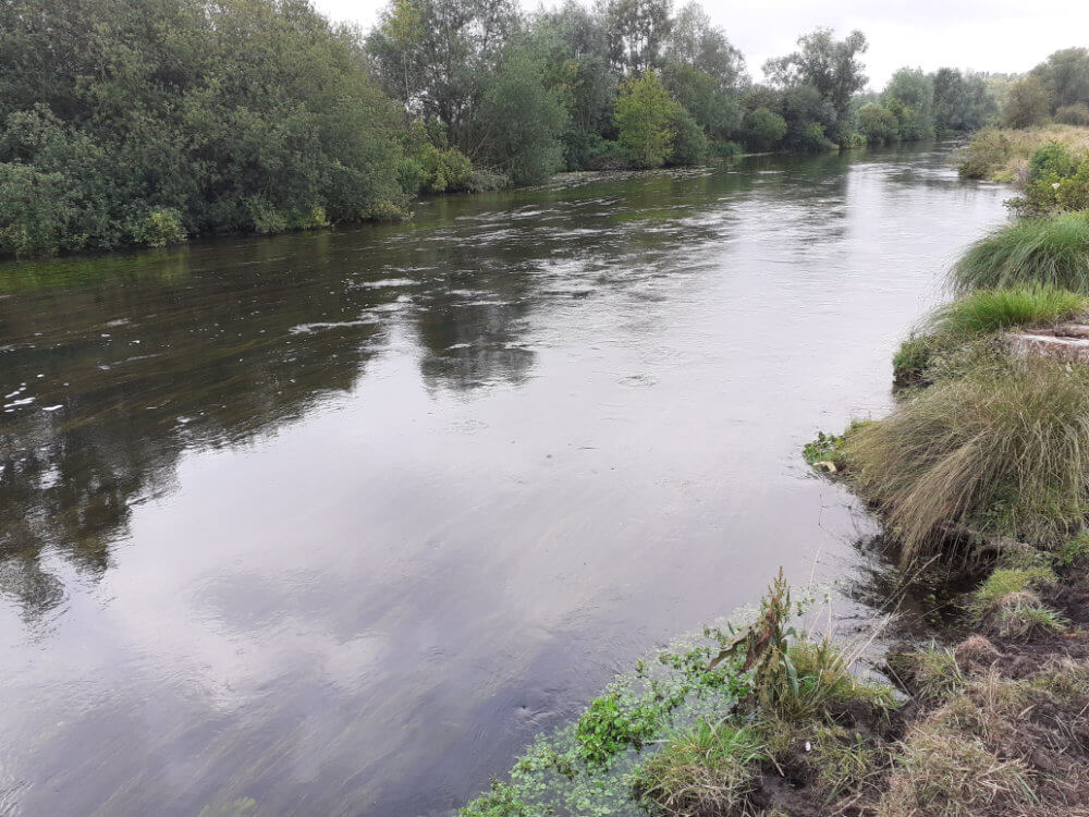 Typical specimen water in France