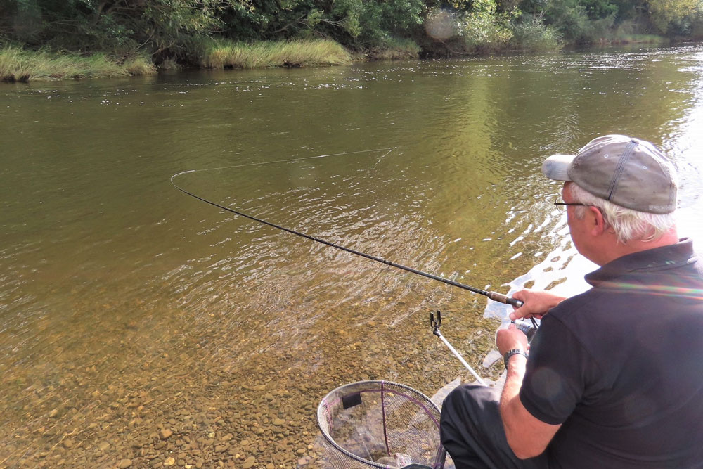 Powerful fish on the Wye