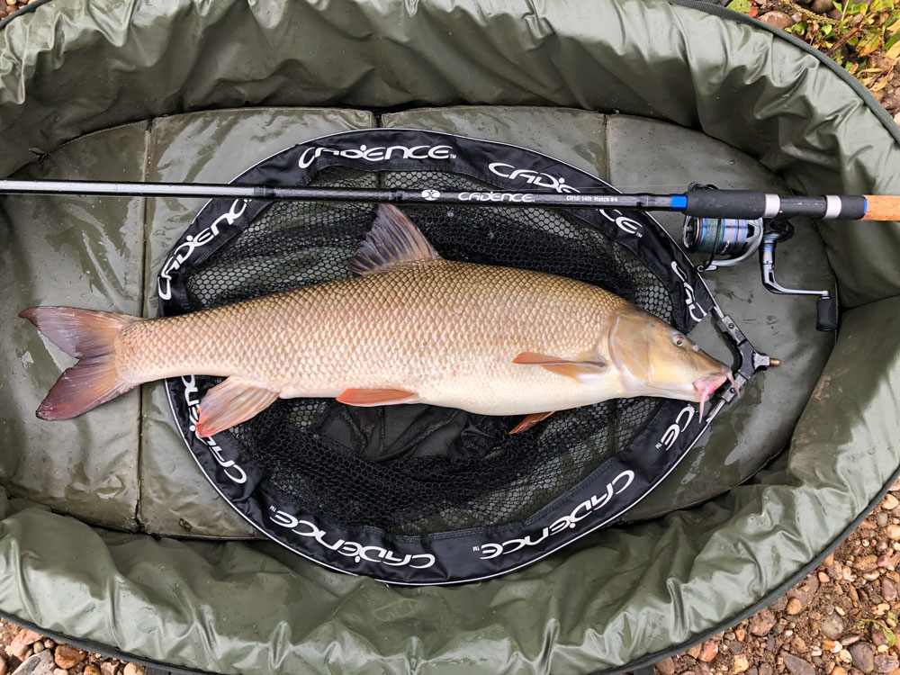 Long Term Review: Cadence CR10 13ft #3 Power Feeder Rod - Cadence Fishing  Blog - Coarse Fishing Articles