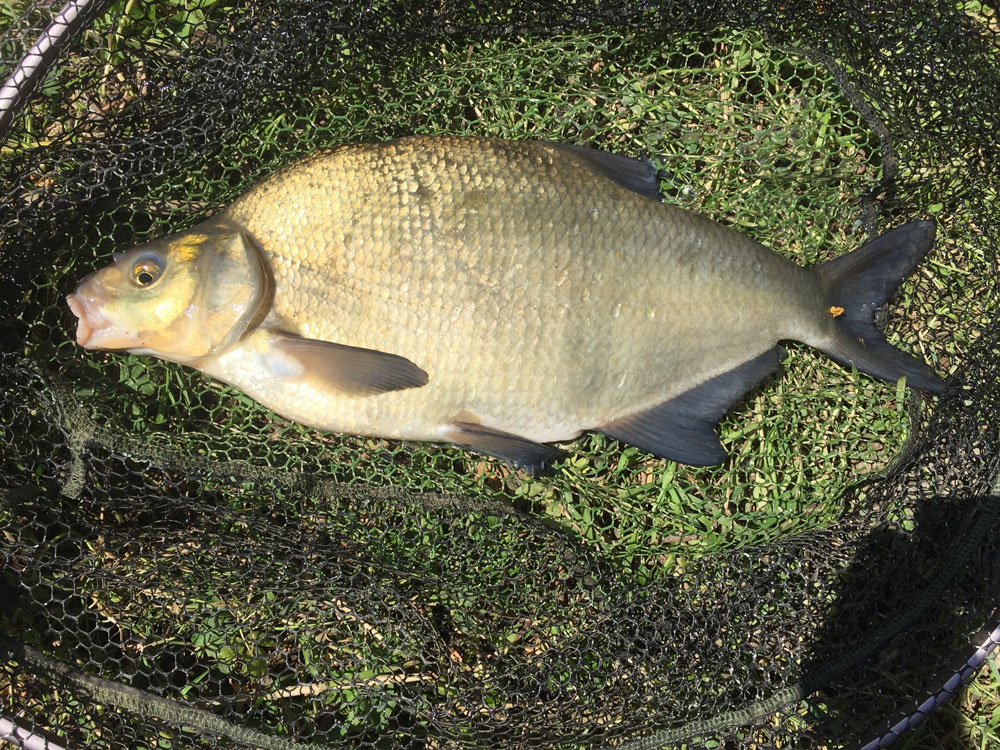 Tidal Rivers Fishing