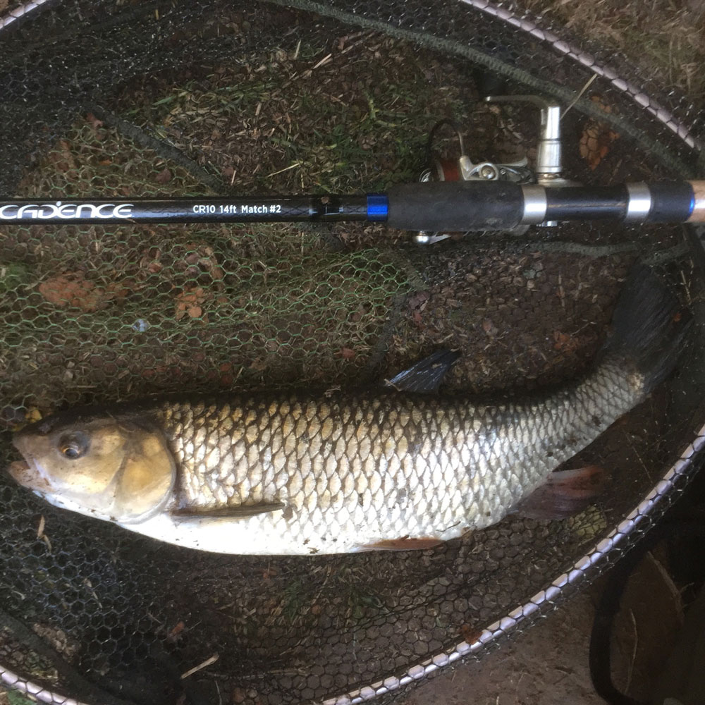 Tidal Rivers Fishing