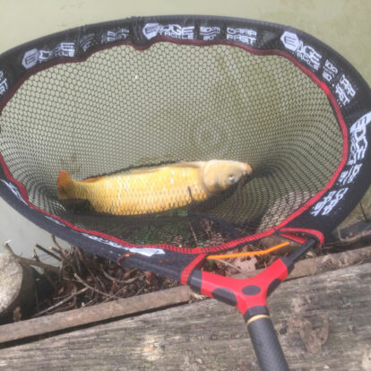 Travelling Light - Carp