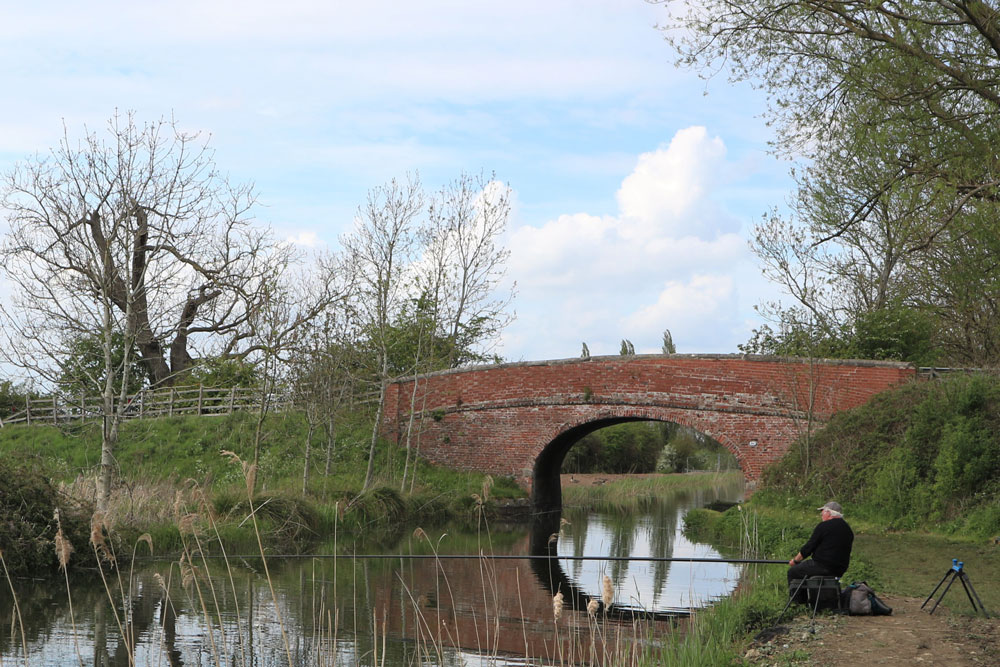 Canal Fishing